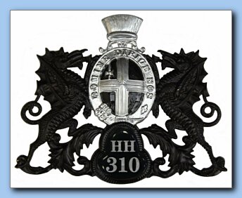 HAQ-008