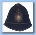 MET-H10
