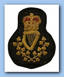 RUC-100