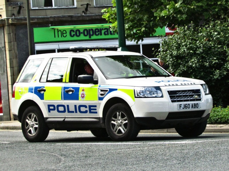 2010 Land Rover  Freelander