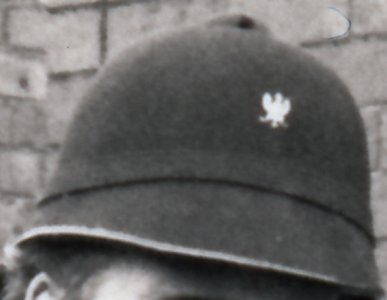 ERC helmet 1880