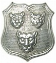 Shrewsbury Borough Police