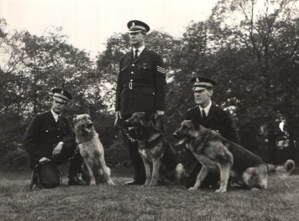 Bradford Dog Section
PC Scott  Sgt. Pickles Pc Higgins. Bradford City Police.
Submitted by Alan Pickles
Keywords: Bradford Dog Dogs