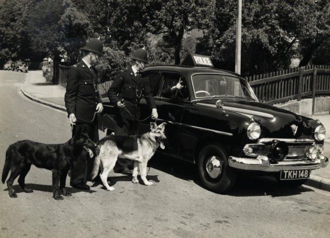 Hull Dog Handler - PC Len Coupland
First Dog Handler in Hull City Police c.1951 
Vauxhall Velox patrol car
Submitted by - Tony Steventon
Keywords: Humberside Hull Yorkshire Vauxhall Velox vehicles dogs