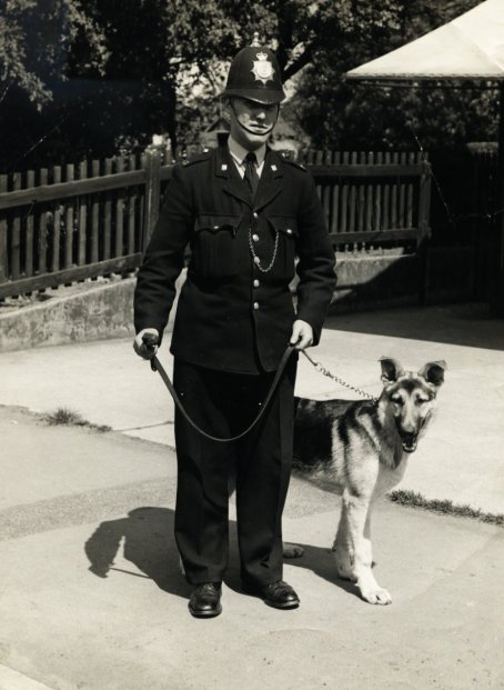 Hull Dog Handler - PC Len Coupland
First Dog Handler in Hull City Police c.1951 
Bedford CA van Black Mariah
Submitted by - Tony Steventon

Keywords: Hull Yorkshire Bedford Humberside dogs
