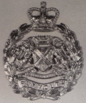 Queens Crown Helmet Plate
Keywords: HP