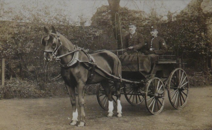 Pony & Trap
Constable Dudley accompanying his Superintendent  in this photograph he is seen wearing a lance corporal's cheveron
Constable 368 George Dudley served in the Cheshire Constabulary from 1893 until  17th January 1920, was stationed at Middlewich.
Photograph submitted by Thomas Newport
Keywords: Dudley Cheshire