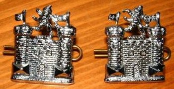 East Suffolk Collar Badges
Keywords: East Suffolk Collar Badges Collardogs