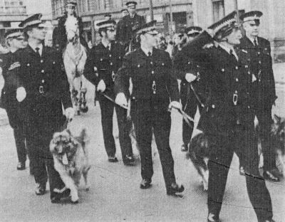 Annual Parade 1976; Bradford Dog Section
Over 100 officers, including Cadets, Mounted Branch, and Special Constabulary, marched smartly through Bradford to the Cathedral to celebrate the Force's second birthday

Photograph submitted by: Alan Pickles 
Keywords: Yorkshire Bradford Dogs