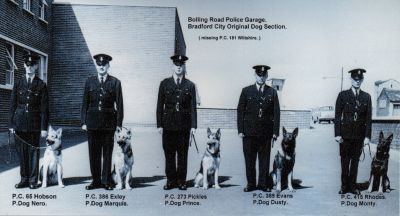 Bradford Dog section 1961
Photograph taken at Bolling Road garage 1961. Original Dog section.
PC65 Hobson & P.Dog Nero, PC386 Exley & P.Dog Marquis, PC273 Pickles & P.Dog Prince, PC389 Evans & P.Dog Dusty, PC415 Rhodes & P.Dog Monty. Missing from picture PC181 Wiltshire.

Photograph submitted by: Alan Pickles
Keywords: Bradford Dog