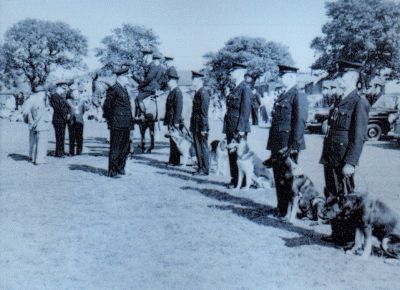 HMI Inspection at Peel Park 1961
Bradford City Police Dog section and Mounted section. 
Sir Charles Martin HMI
Chief Constable: Mr Harry Ambler with the Lord Mayor
Photograph submitted by Alan Pickles
Keywords: HMI Bradford