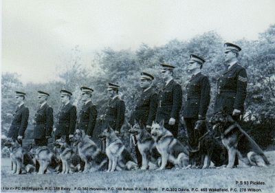 Bradford City Dog Section 1970
L to R - PC397 Higgins, PC386 Exley, PC382 Heywood, PC140 Sykes, PC48, Scott, PC302 Davis, PC465 Wakefield, PC278 Wilson & Sgt 93 Pickles.
Photograph submitted by Alan Pickles
Keywords: Bradford Dog