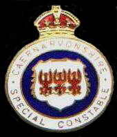 Lapel Badge Special Constabulary
Keywords: Lapel Badge Special Constabulary