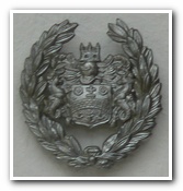 Cambridge Borough Helmet Plate
