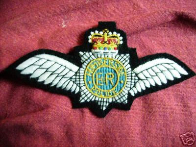 Humberside Police. Pilot Badge (1) QC
Keywords: Humberside Patch