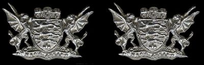 Collar Badge
