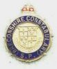 Breconshire__Enamel__Lapel__KC.jpg