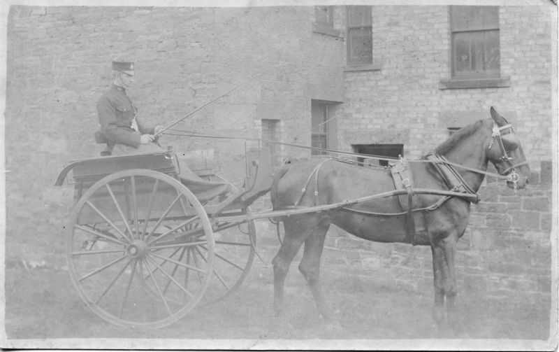 CUMBERLAND and WESTMORLAND CONSTABULARY, PC 103
Unusual photo with a horse and trap.
