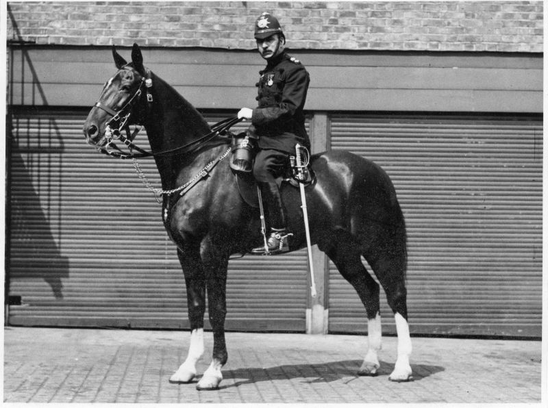 METROPOLITAN POLICE, Y DIVISION, MOUNTED INSPECTOR (HELMET)
Companion photo to the one wearing a cap.
