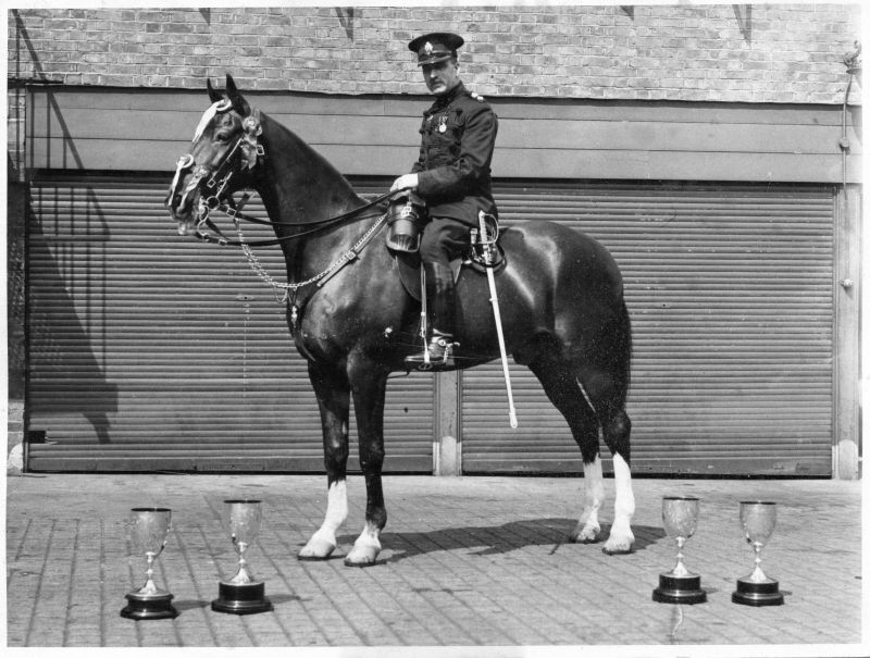 METROPOLITAN POLICE, Y DIVISION, MOUNTED INSPECTOR (CAP)
Mounted Insp. with trophies.
I believe he is wearing Edward 7th Coronation and George 5th Coronation medals.
Press photo from the' Hornsey Journal'
I think this might be at Muswell Hill police station as I believe that is where the stables were.
