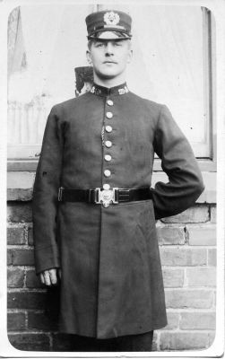 STAFFORDSHIRE CONSTABULARY, PC 179
believed to be Edwardian.  Lovely picture of cap badge and collar dogs.
Keywords: Staffordshire Officer