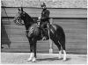 METROPOLITAN_POLICE_Y_DIVISION_MOUNTED_Insp_-_001.jpg