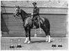 METROPOLITAN_POLICE_Y_DIVISION_MOUNTED_Insp_-_002.jpg