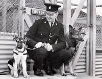Scarborough's First Dog Handler Norman Collier
http://www.thescarboroughnews.co.uk/news/death-of-scarborough-s-first-police-dog-handler-1-1407908
Keywords: Scarborough Dog Handler Norman Collier