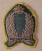 Filename=Galantry_cloth.JPG
Filesize=25KiB
Dimensions=250x300
Date added=Jan 07, 2023 Galantry_cloth.JPG