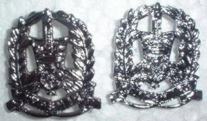Hampshire Constabulary Collar Badges
Keywords: Hampshire Constabulary Collar Badges Collardogs